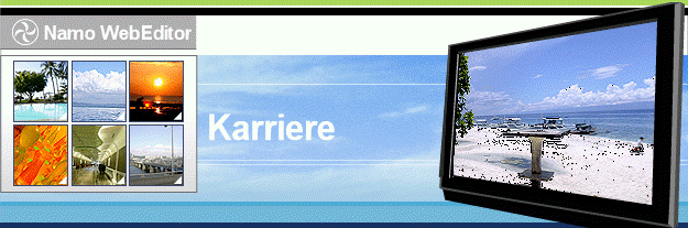 Karriere
