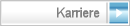 Karriere